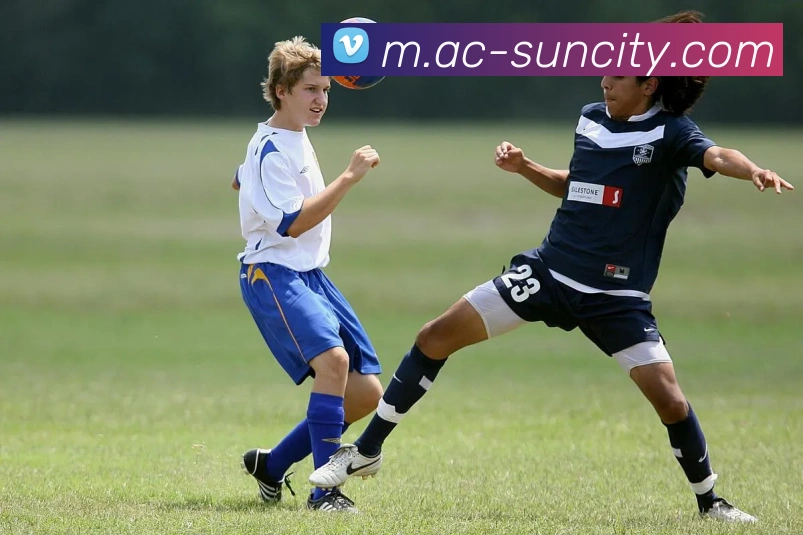 太阳城网站服务体系